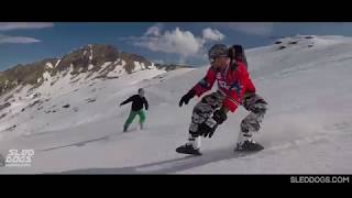 Skating in slush in the beautiful French Alps  Sled Dogs Snowskates [upl. by Dleifxam]