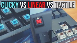 Clicky Vs Tactile Vs Linear Mechanical Keyboard Switches with Sound Tests And Examples [upl. by Kahler]