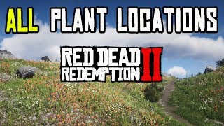 Red Dead Redemption 2  ALL 43 PLANTS amp HERBS LOCATIONS [upl. by Nanyt]