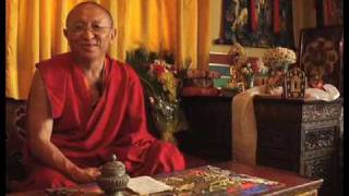 Chokyi Nyima Rinpoche  Please study the Mūlamadhyamakakārikā [upl. by Miche]