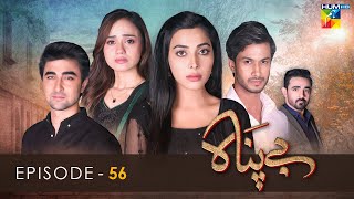 Bepanah  Episode 56  Eshal Fayyaz  Khaqan Shahnawaz  Kanwal Khan 22nd December 2022  HUM TV [upl. by Naval]