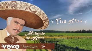 Vicente Fernández  Cien Años Cover Audio [upl. by Edahs495]