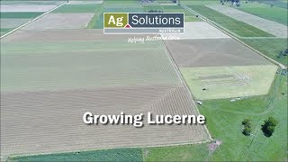 Growing Lucerne [upl. by Warwick910]