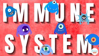 Immune System Innate and Adaptive Immunity Explained [upl. by Ahsotal]