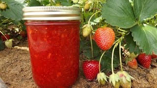 How to Make Strawberry Freezer Jam [upl. by Nodnab]