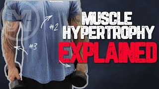 Muscle Hypertrophy Explained How to get MASSIVE Gains [upl. by Ainirtac]