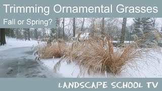 Trimming Ornamental Grasses  Fall or Spring [upl. by Analla]