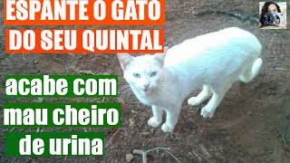 Espantar o gato do vizinho acabe com mau cheiro de urina de gato [upl. by Ogaitnas]