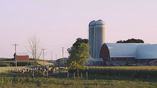 Working Together Hildebrandt Family Farms [upl. by Magdalen]