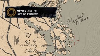 Carolina Parakeet Locations RDR2 Mission Guide [upl. by Leaper]