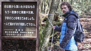 Visité el quotbosque de los suicidasquot en Japón [upl. by Gabrielson856]