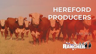 Hereford Producers  The American Rancher [upl. by Ause234]