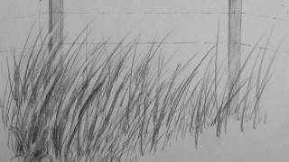 How to Draw Realistic Tall Grass [upl. by Nitnert524]