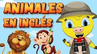 Inglés para Niños  Animales en inglés  Aprender Inglés [upl. by Ramat]