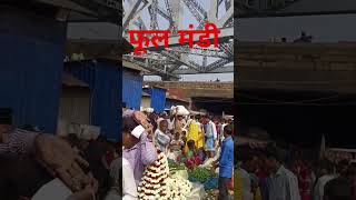 Phool mandi Howrah pul ke niche [upl. by Lzeil]