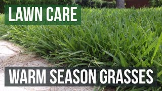 Warm Season Grasses A Lawn Care Guide [upl. by Marozik]