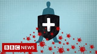 Coronavirus Immunity explained  BBC News [upl. by Einhpad192]