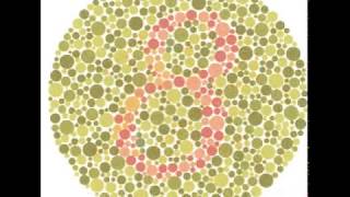 Test for Colour Blindness [upl. by Rock]