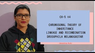 Ch  5 04 Chromosomal theory of inheritance  Linkage and recombination  Class 12th  NEET  AIIMS [upl. by Wira]