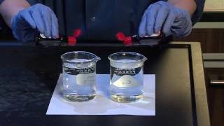 Diffusion and Osmosis  For Teachers [upl. by Anesusa]