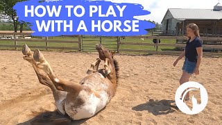 HOW TO PLAY WITH A HORSE [upl. by Atteuqaj]