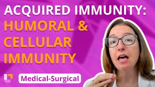 Acquired Immunity Humoral and Cellular Immunity  Medical Surgical  Immune  LevelUpRN [upl. by Einej521]