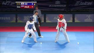 2013 WTF World Taekwondo Championships Final  Female 46kg [upl. by Grannie]