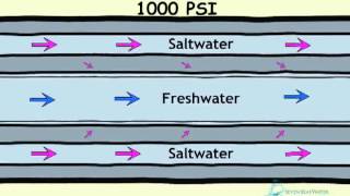 How Desalination Works [upl. by Assila]