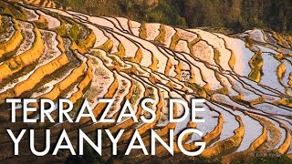 Visitando as plantações de arroz de Yuanyang na China [upl. by Ambler]