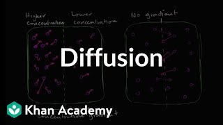 Diffusion  Membranes and transport  Biology  Khan Academy [upl. by Ailak]