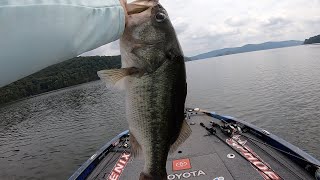 LEDGE FISHING On LAKE GUNTERSVILLE [upl. by Niak905]