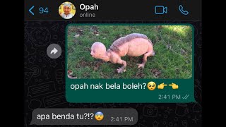 KISAH SERAM  OPAH [upl. by Block]