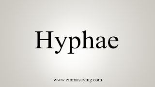 How To Say Hyphae [upl. by Gerrald]