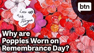 Why are Poppies Worn on Remembrance Day  Behind the News [upl. by Lim]