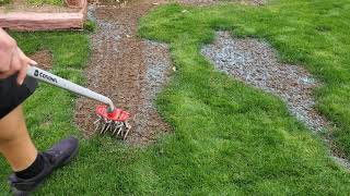 Reseeding Some Bare Spots  DIY Lawn Guy [upl. by Dinan360]