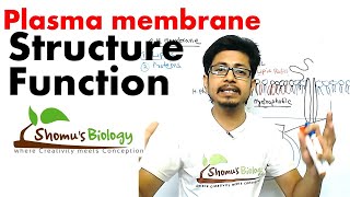 Plasma membrane structure and function [upl. by Jeconiah]