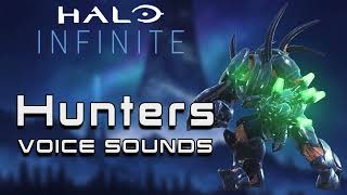 Halo Infinite Campaign  Hunters Voice Sounds [upl. by Monteria]