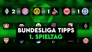 Bundesliga Prognose  1 Spieltag Tipps amp Vorschau  202324 [upl. by Melleta]