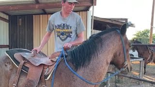 Horse Training  First Ride First Mount [upl. by Enomad771]