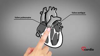 Anatomie du coeur  version française [upl. by Hunt984]