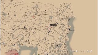 Red Dead Redemption 2 Chicks Treasure Location [upl. by Ycram]