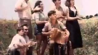 Hava Nagila  Famous Israeli jewish folk song  authentic dance [upl. by Lifton512]