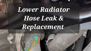 Volkswagen Coolant leak Part 2  Replacing Lower Radiator Hose  Golf Mk5 20 FSI [upl. by Anivlek336]