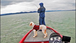 Bass Fishing LAKE GUNTERSVILLE WinterEarly Spring Conditions [upl. by Nylauqcaj]