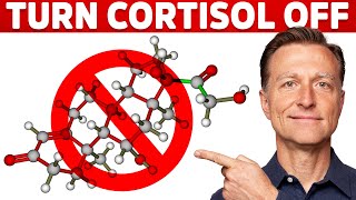 Why Its Hard To Turn Stress Cortisol Off – Dr Berg [upl. by Arahs]