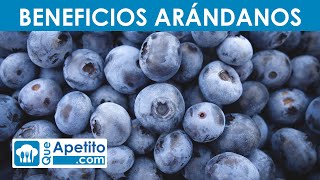 8 Propiedades y Beneficios de los Arándanos  QueApetito [upl. by Eustis]