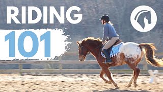 HOW TO RIDE A HORSE EASY BEGINNERS GUIDE [upl. by Eical]