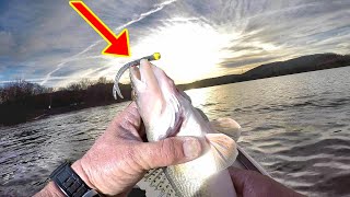 Sauger Fishing Secrets [upl. by Tailor]