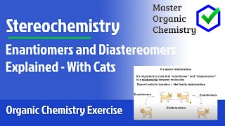 Enantiomers and Diastereomers Explained  With Cats [upl. by Ahsenrad289]