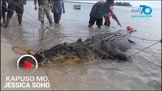 Kapuso Mo Jessica Soho Dambuhalang buwaya nahuli sa Simunul Tawitawi [upl. by Aihtennek260]